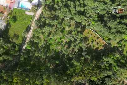 Terreno Agricola ou Rústico para Venda em Fatima