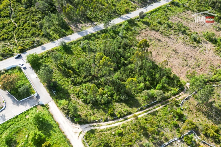 Terreno Agricola ou Rústico para Venda em Fatima Foto 5