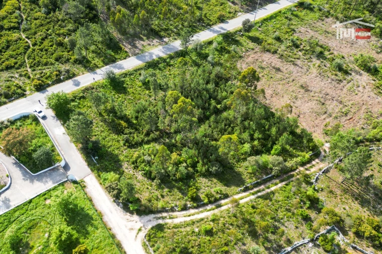 Terreno Agricola ou Rústico para Venda em Fatima Foto 6