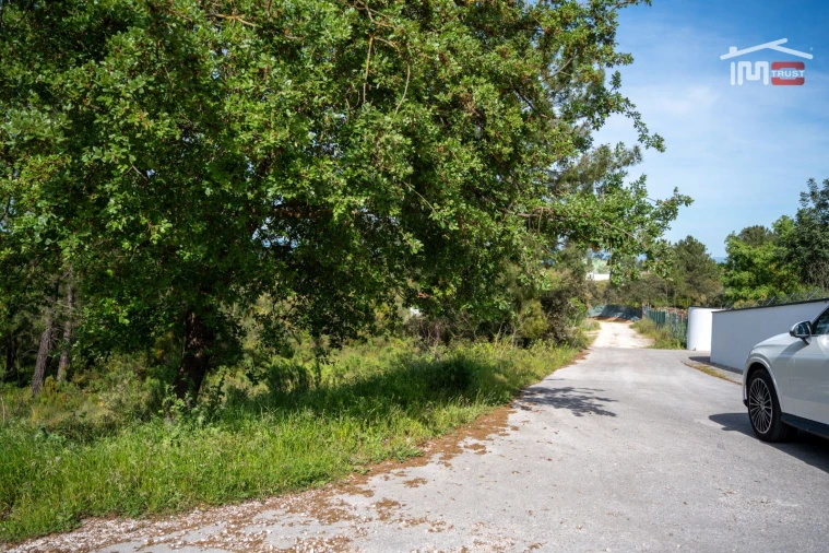 Terreno Agricola ou Rústico para Venda em Fatima Foto 11