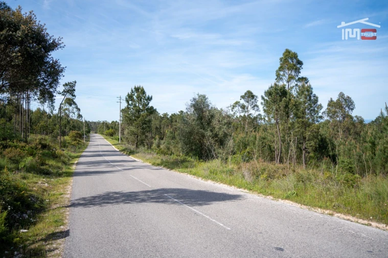 Terreno Agricola ou Rústico para Venda em Fatima Foto 12