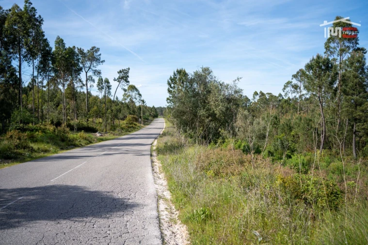 Terreno Agricola ou Rústico para Venda em Fatima Foto 19
