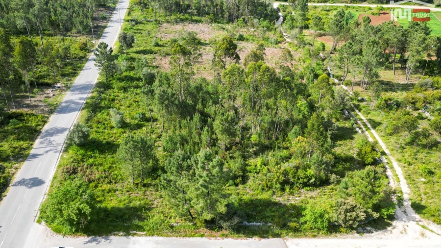Terreno Agricola ou Rústico para Venda em Fatima
