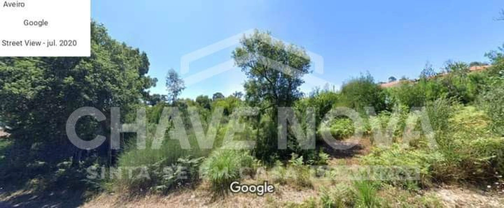 Terreno Misto para Venda em São João de Ver Foto 4