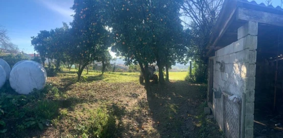 Moradia T0 para Venda em Abade de Neiva