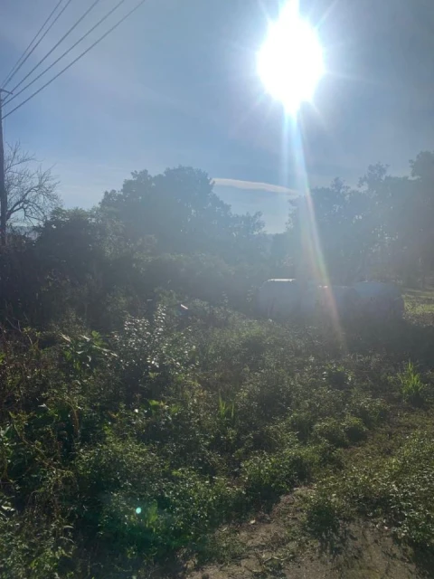 Moradia T0 para Venda em Abade de Neiva