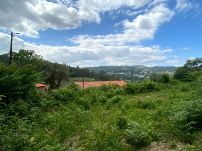 Terreno para Venda em Telões Foto 2