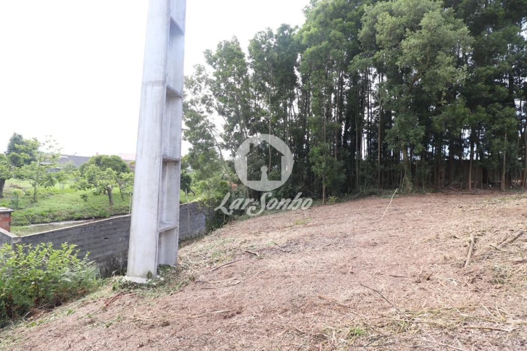 Terreno Agricola ou Rústico para Venda em Esmoriz Foto 13