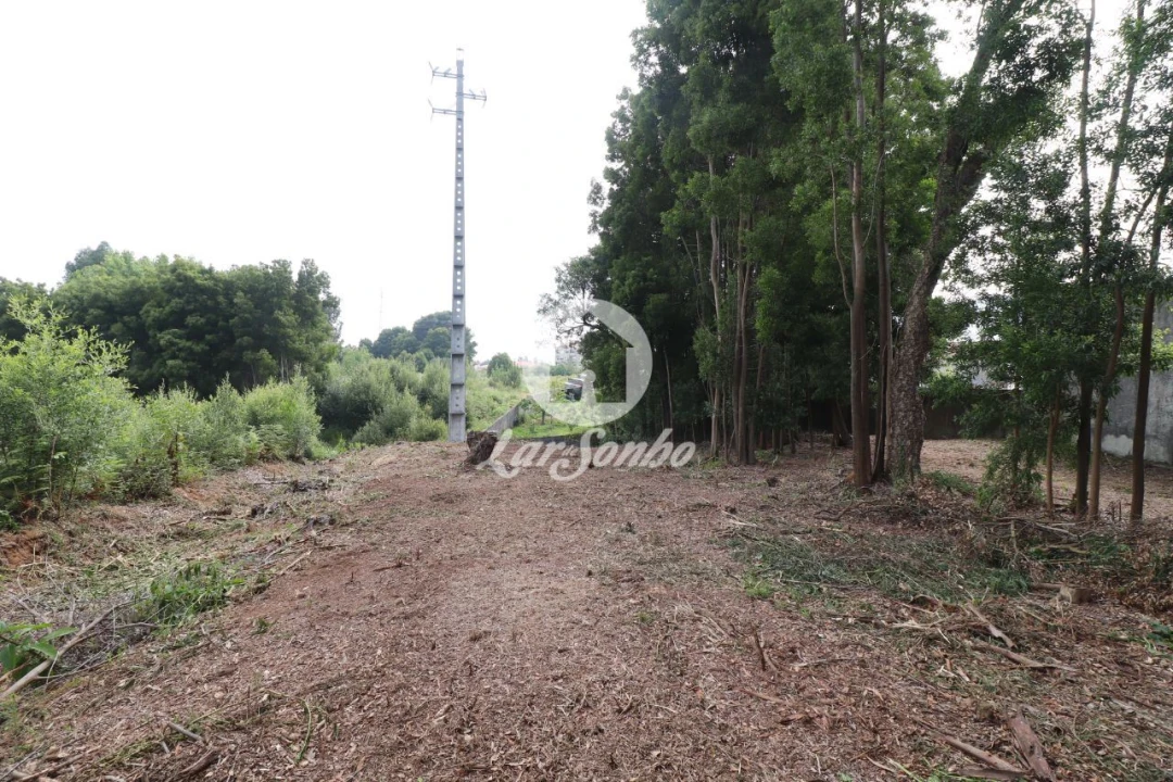 Terreno Agricola ou Rústico para Venda em Esmoriz Foto 14