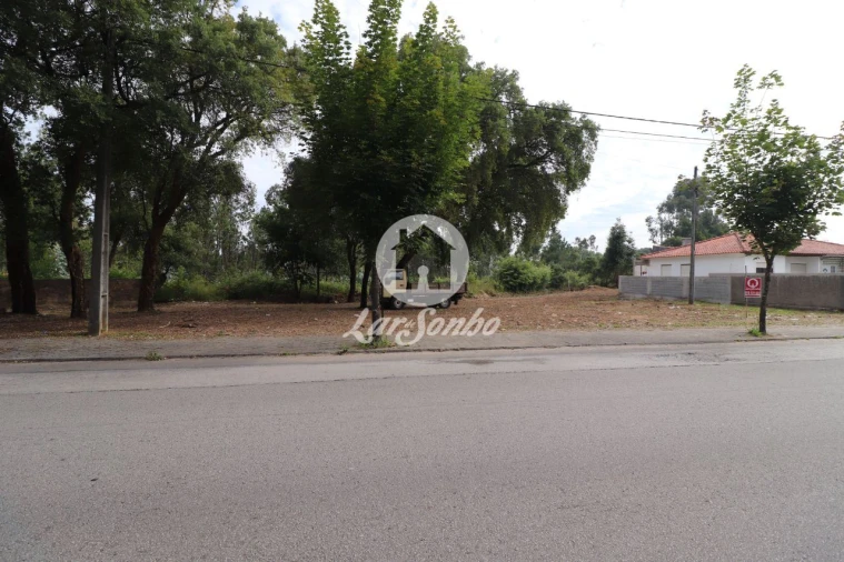 Terreno Agricola ou Rústico para Venda em Esmoriz Foto 9