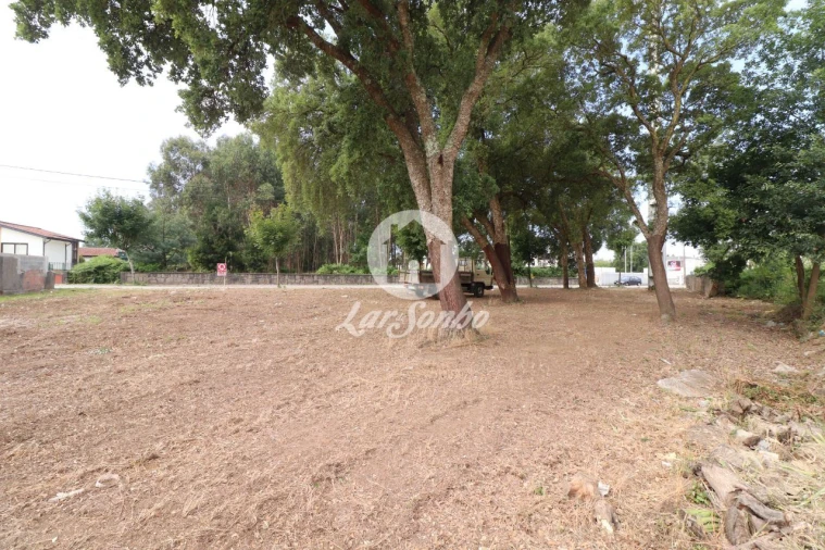 Terreno Agricola ou Rústico para Venda em Esmoriz Foto 2