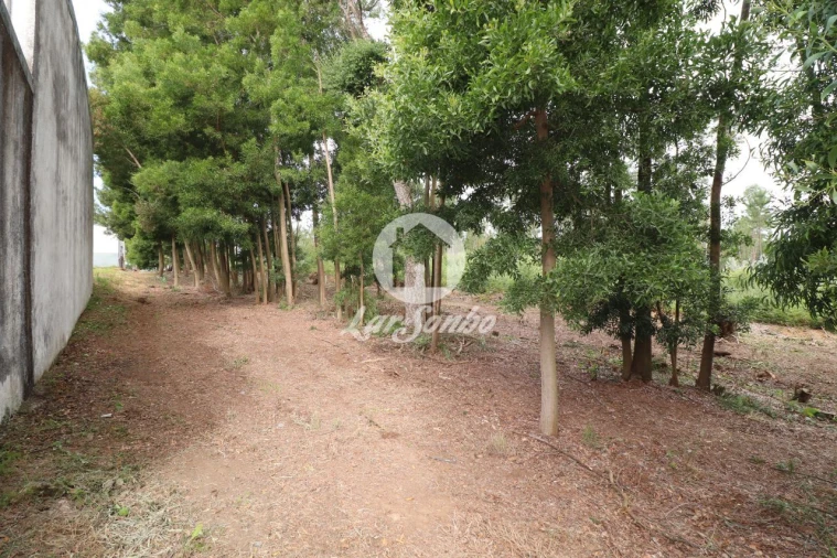 Terreno Agricola ou Rústico para Venda em Esmoriz Foto 10