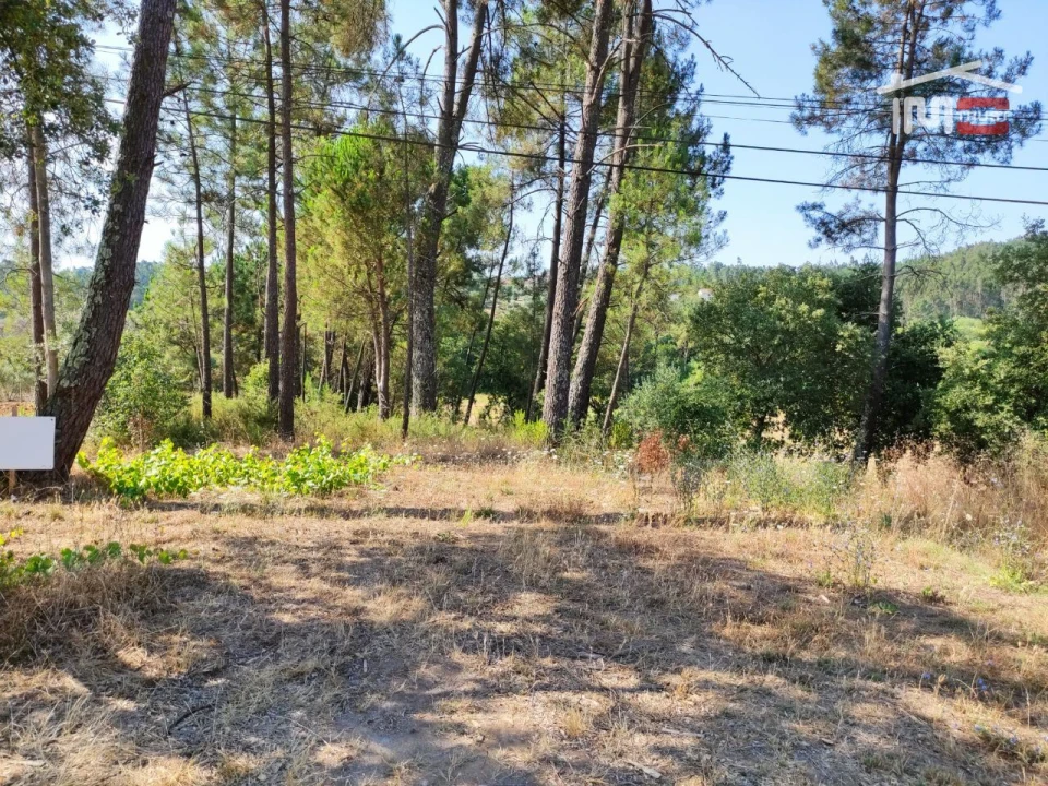 Terreno Agricola ou Rústico para Venda em Caxarias Foto 1