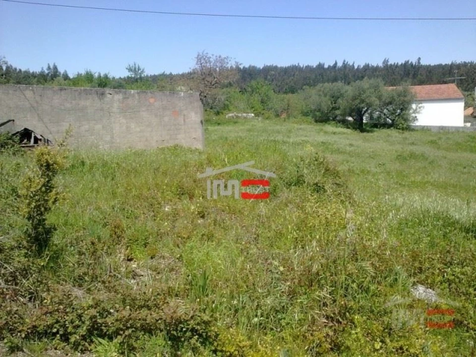 Terreno Misto para Venda em São Mamede Foto 3