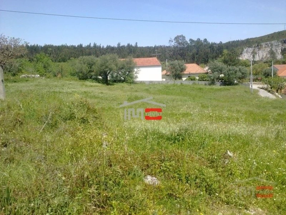 Terreno Misto para Venda em São Mamede Foto 4
