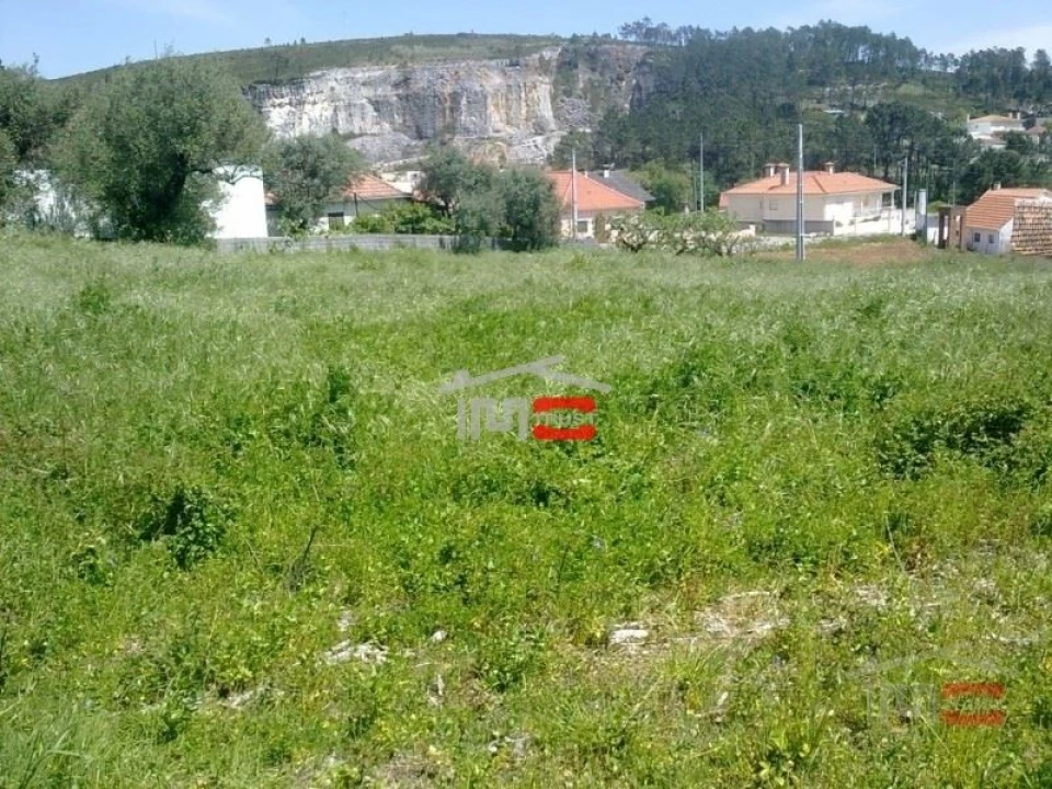 Terreno Misto para Venda em São Mamede Foto 8
