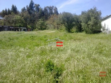 Terreno Misto para Venda em São Mamede