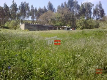 Terreno Misto para Venda em São Mamede