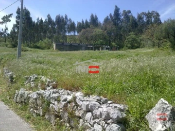 Terreno Misto para Venda em São Mamede