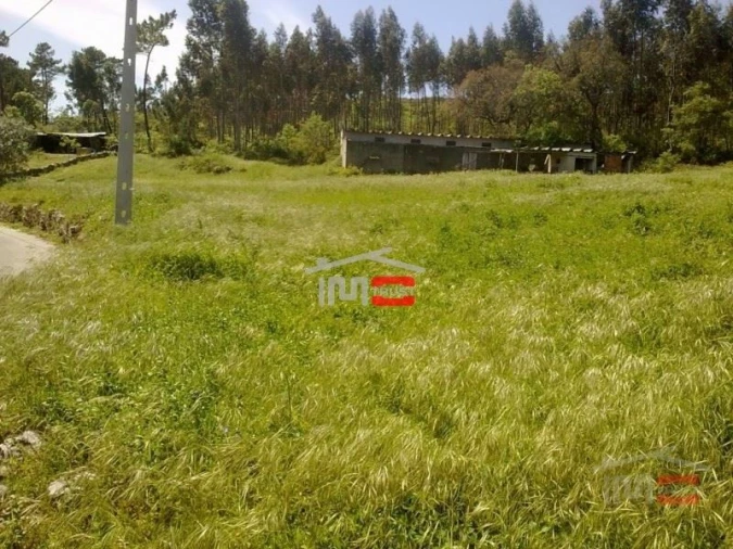Terreno Misto para Venda em São Mamede Foto 6