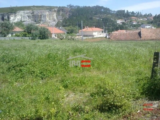 Terreno Misto para Venda em São Mamede Foto 9
