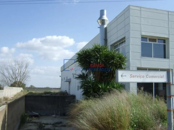 Armazém para Venda em Caia, São Pedro e Alcáçova Foto 4