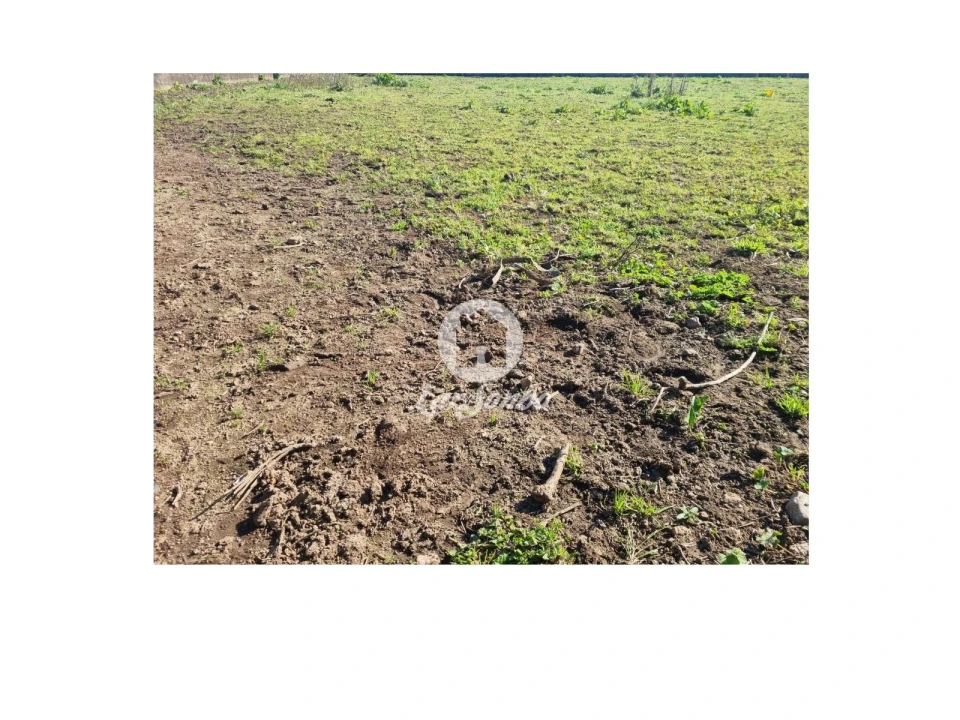 Terreno para Venda em Cristelo Foto 1