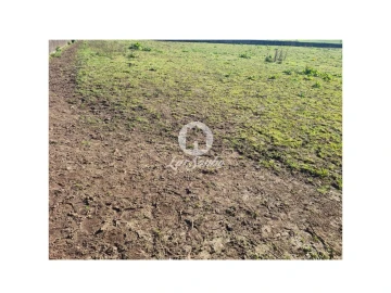 Terreno para Venda em Cristelo