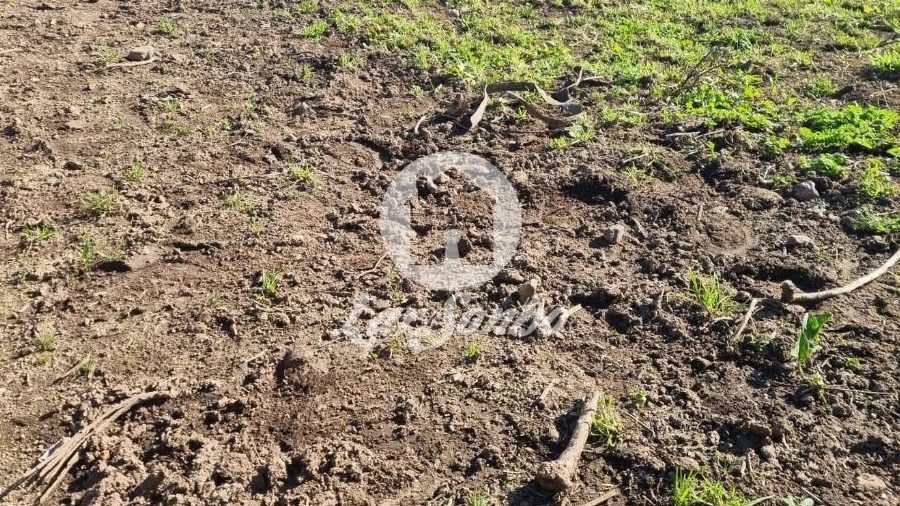Terreno para Venda em Cristelo