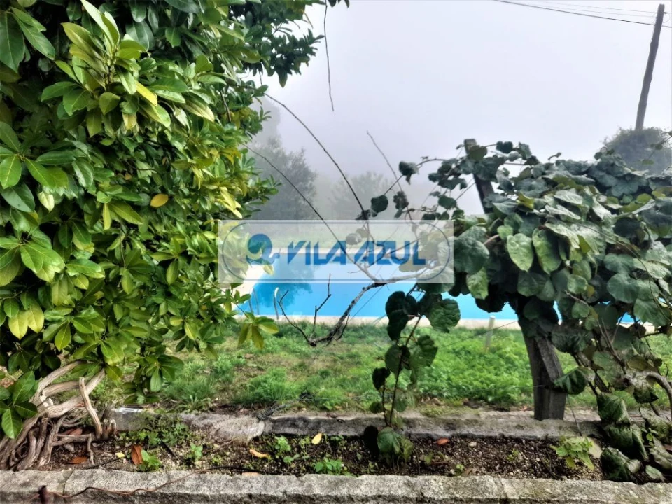 Quinta T3 para Venda em Santa Cruz do Douro e São Tomé de Covelas Foto 7