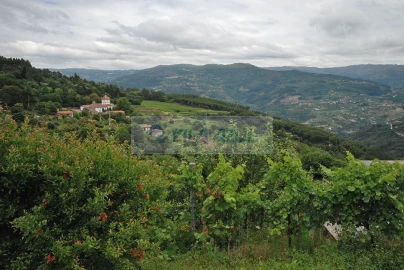Quinta T3 para Venda em Santa Cruz do Douro e São Tomé de Covelas