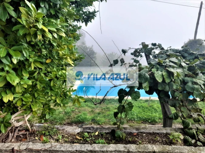 Quinta T3 para Venda em Santa Cruz do Douro e São Tomé de Covelas Foto 7