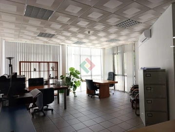 Loja para Arrendamento em Sé e São Lourenço