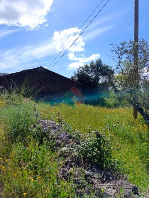 Terreno Agricola ou Rústico para Venda em São Salvador da Aramenha