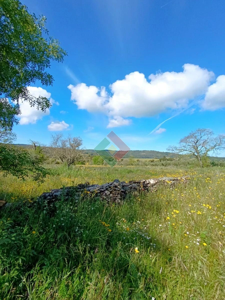Terreno Agricola ou Rústico para Venda em São Salvador da Aramenha Foto 2
