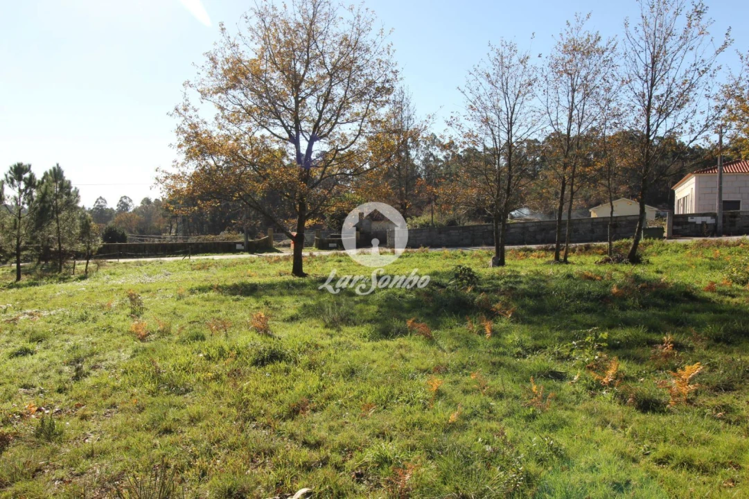 Terreno para Venda em Borba da Montanha Foto 2