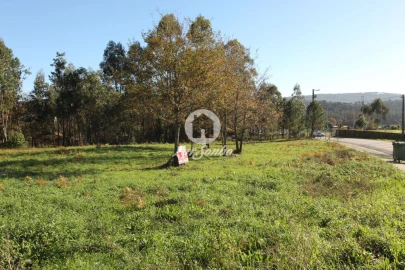 Terreno para Venda em Borba da Montanha