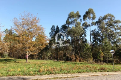 Terreno para Venda em Borba da Montanha