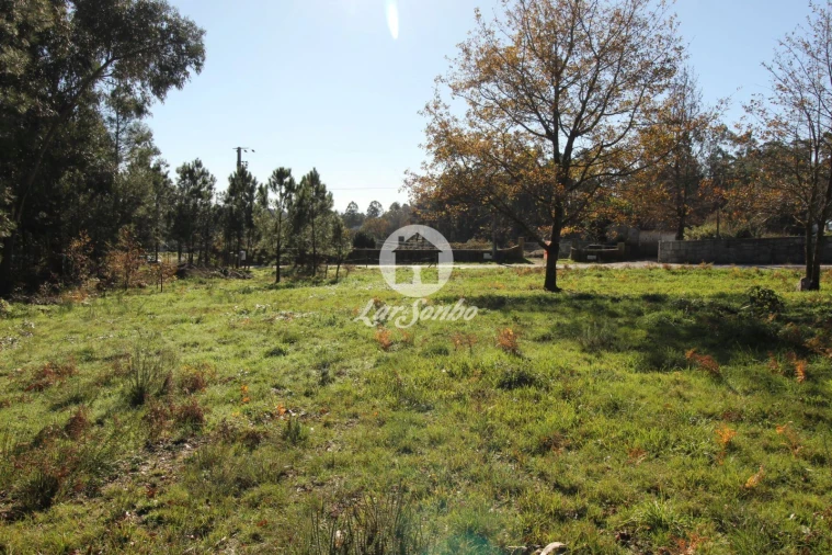 Terreno para Venda em Borba da Montanha Foto 6