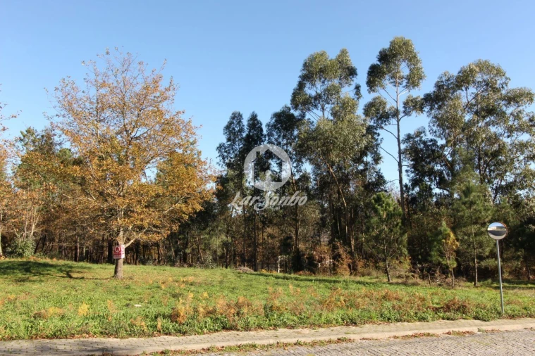 Terreno para Venda em Borba da Montanha Foto 7