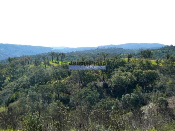 Terreno Agricola ou Rústico para Venda em Almodôvar e Graça dos Padrões