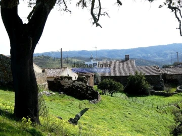 Terreno Agricola ou Rústico para Venda em Almodôvar e Graça dos Padrões