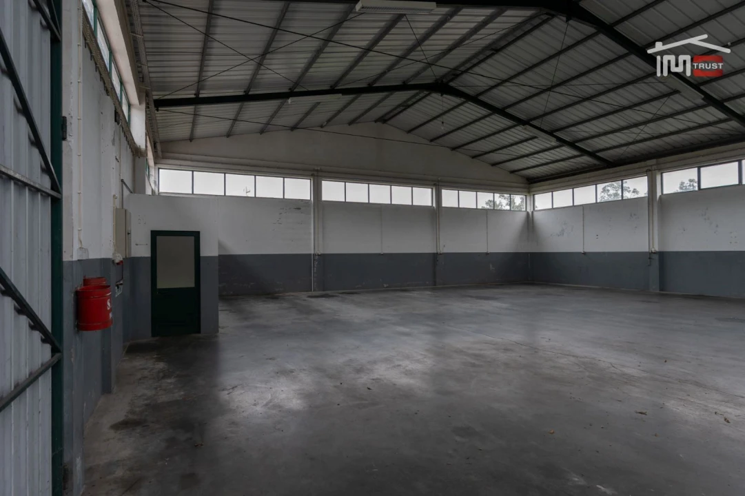 Negócio para Venda em São Mamede Foto 8