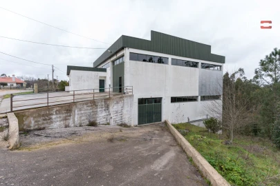 Negócio para Venda em São Mamede