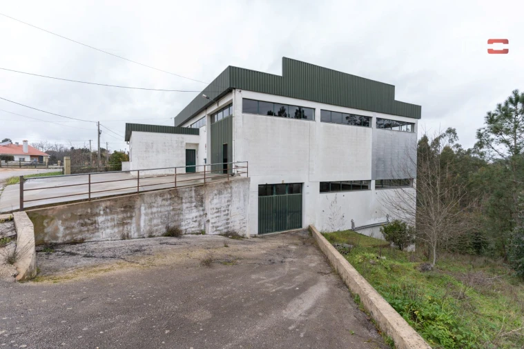 Negócio para Venda em São Mamede Foto 6