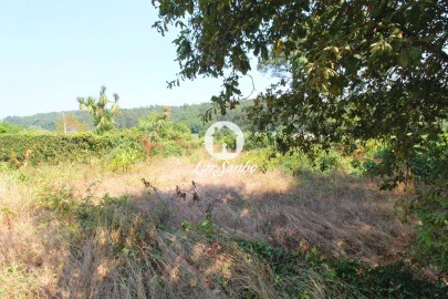 Terreno para Venda em Galegos (São Martinho)