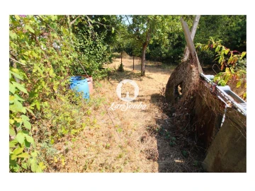 Terreno para Venda em Galegos (São Martinho)