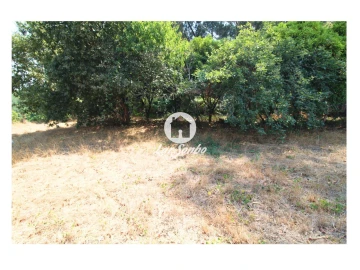 Terreno para Venda em Galegos (São Martinho)