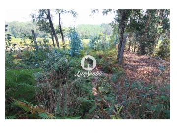 Terreno para Venda em Galegos (São Martinho)