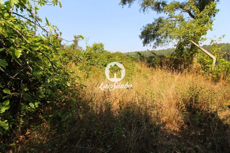 Terreno para Venda em Galegos (São Martinho) Foto 4